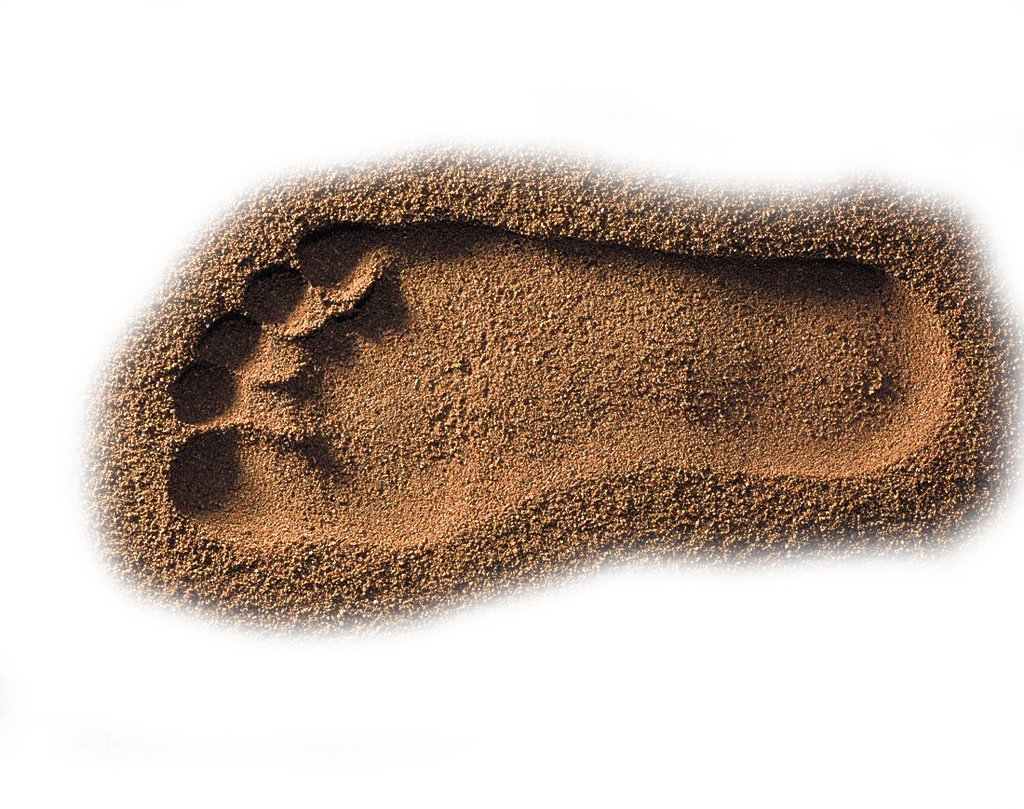 footprint